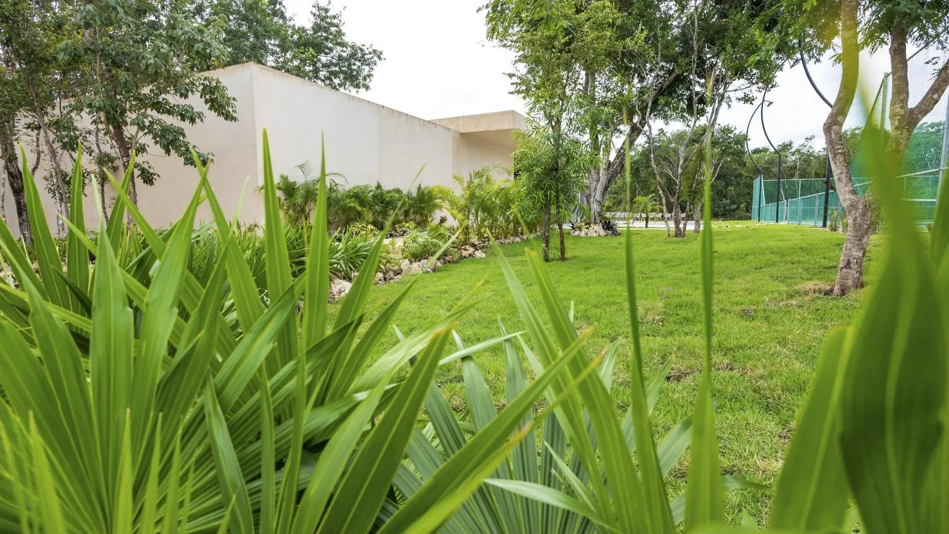 Casa Jaguar Villa Xpu Ha